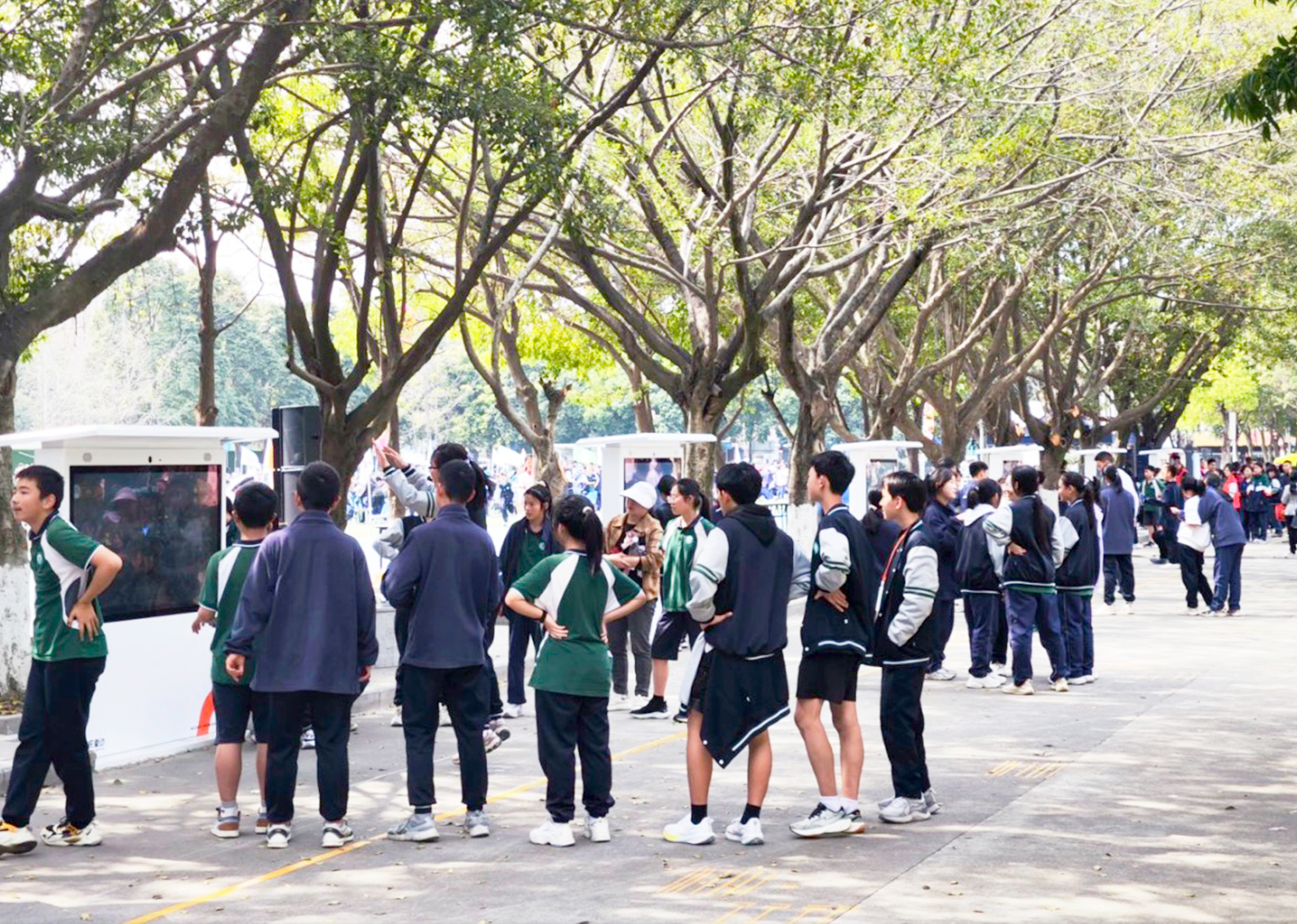 1735608350127958.png 03.png