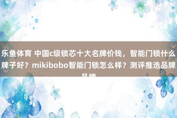 乐鱼体育 中国c级锁芯十大名牌价钱，智能门锁什么牌子好？mikibobo智能门锁怎么样？测评推选品牌