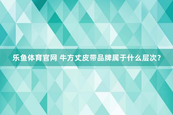 乐鱼体育官网 牛方丈皮带品牌属于什么层次？