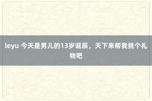 leyu 今天是男儿的13岁诞辰，天下来帮我挑个礼物吧