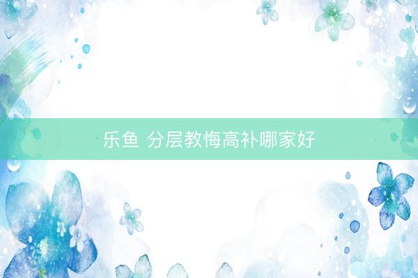 乐鱼 分层教悔高补哪家好